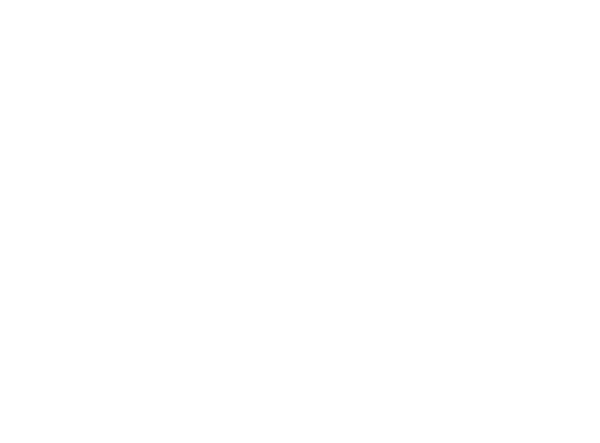 Logo of LAN.party